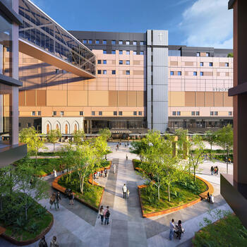 StPaulsHospital_GridSize1_2270x2270