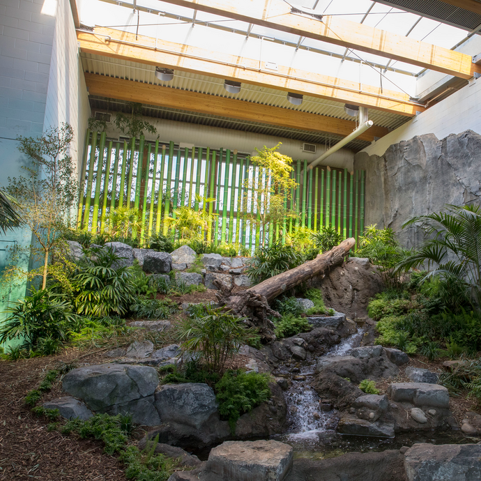 Calgary Panda Exhibit